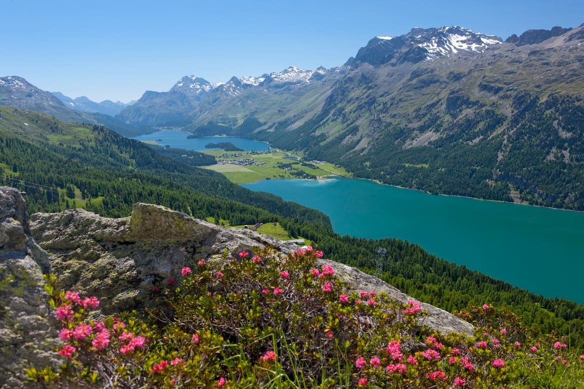 Silvaplanersee, Silsersee, Sils und die umliegenden Berge