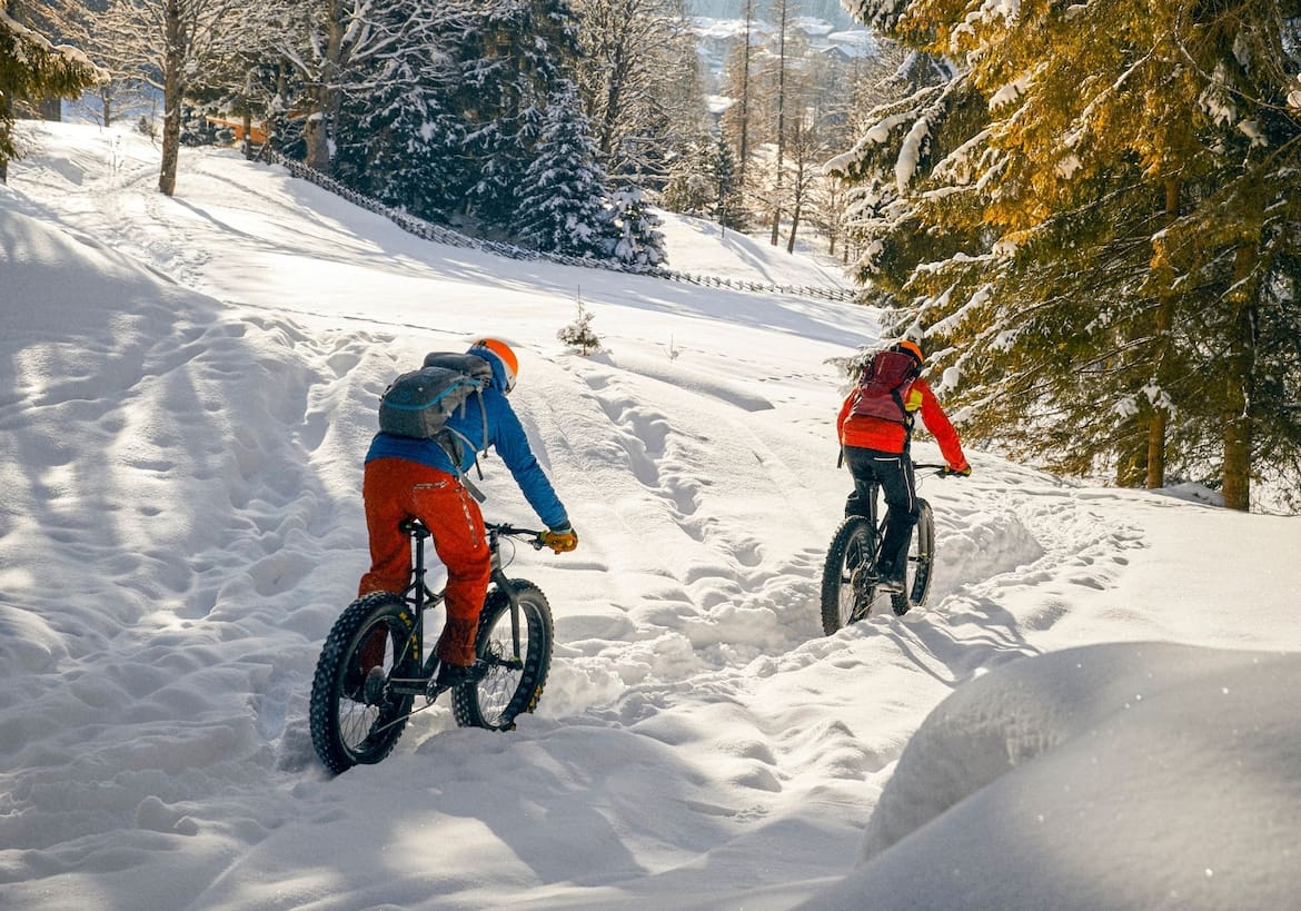 Die Abfahrt mit dem Fatbike durch Wald und Wiesen