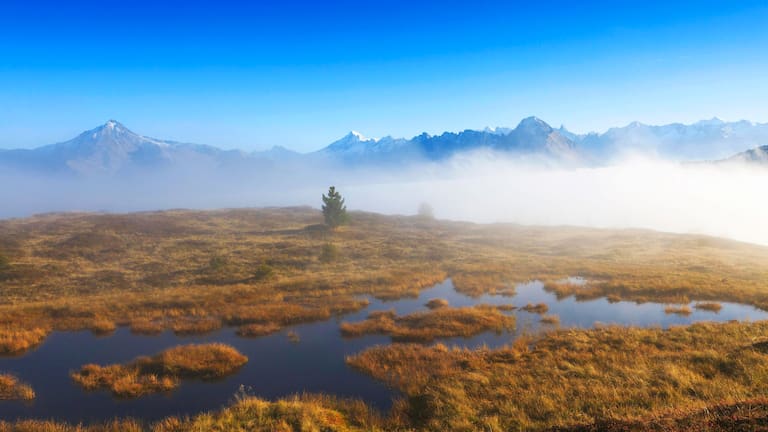 Welttag der Feuchtgebiete: Hochmoor in Tirol