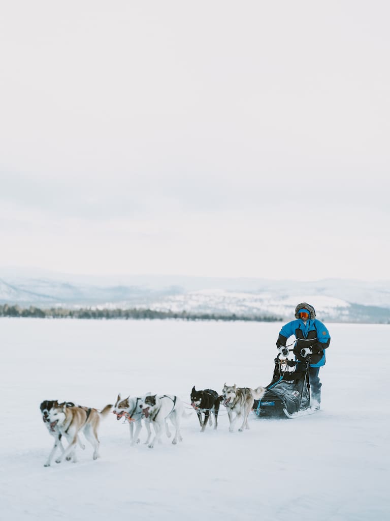 Linda mit ihren sechs Hunden in der arktischen Tundra.