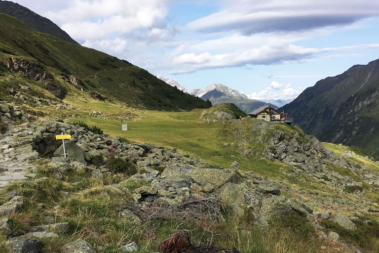 Die Alpein Alm unterhalb der Franz-Senn-Hütte in Tirol