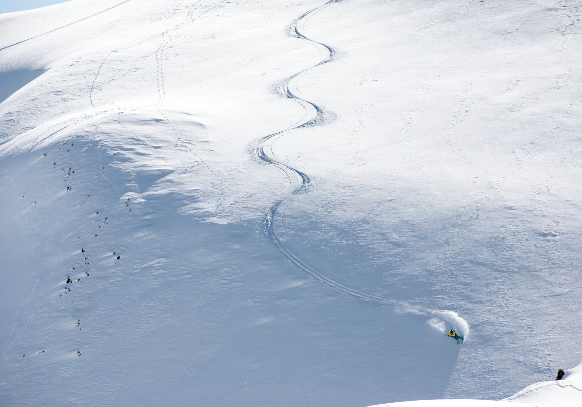 Ein Freerider hinterlässt Spuren im Schnee.