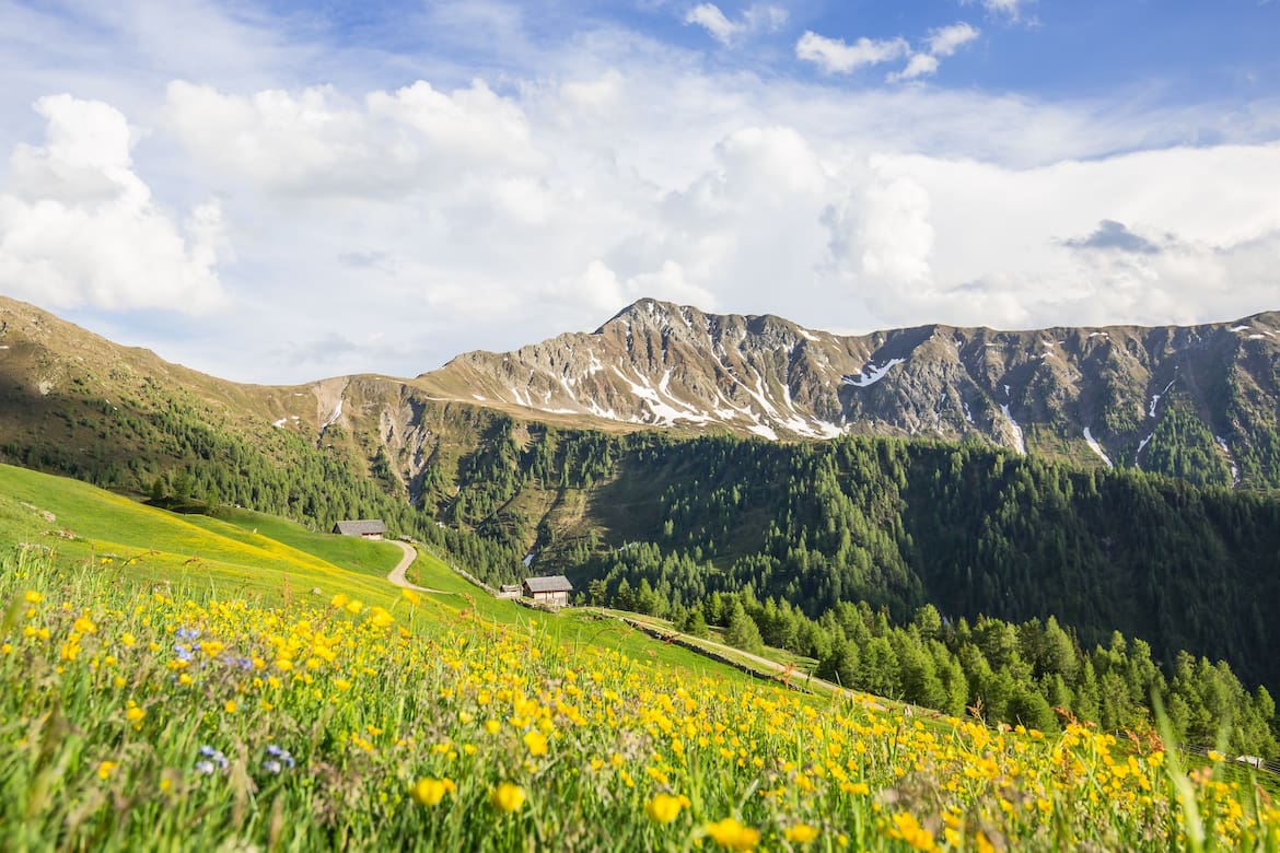 Ruhig und naturbelassen: Das Gsiesertal zählt zu den Geheimtipps in Südtirol.