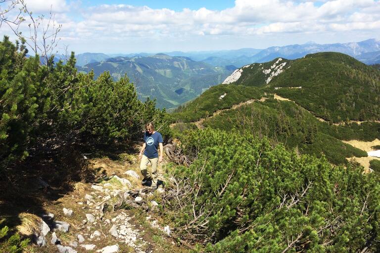 Wandern am Gamsstein: Zum Hochkogel in den Ybbstaler Alpen