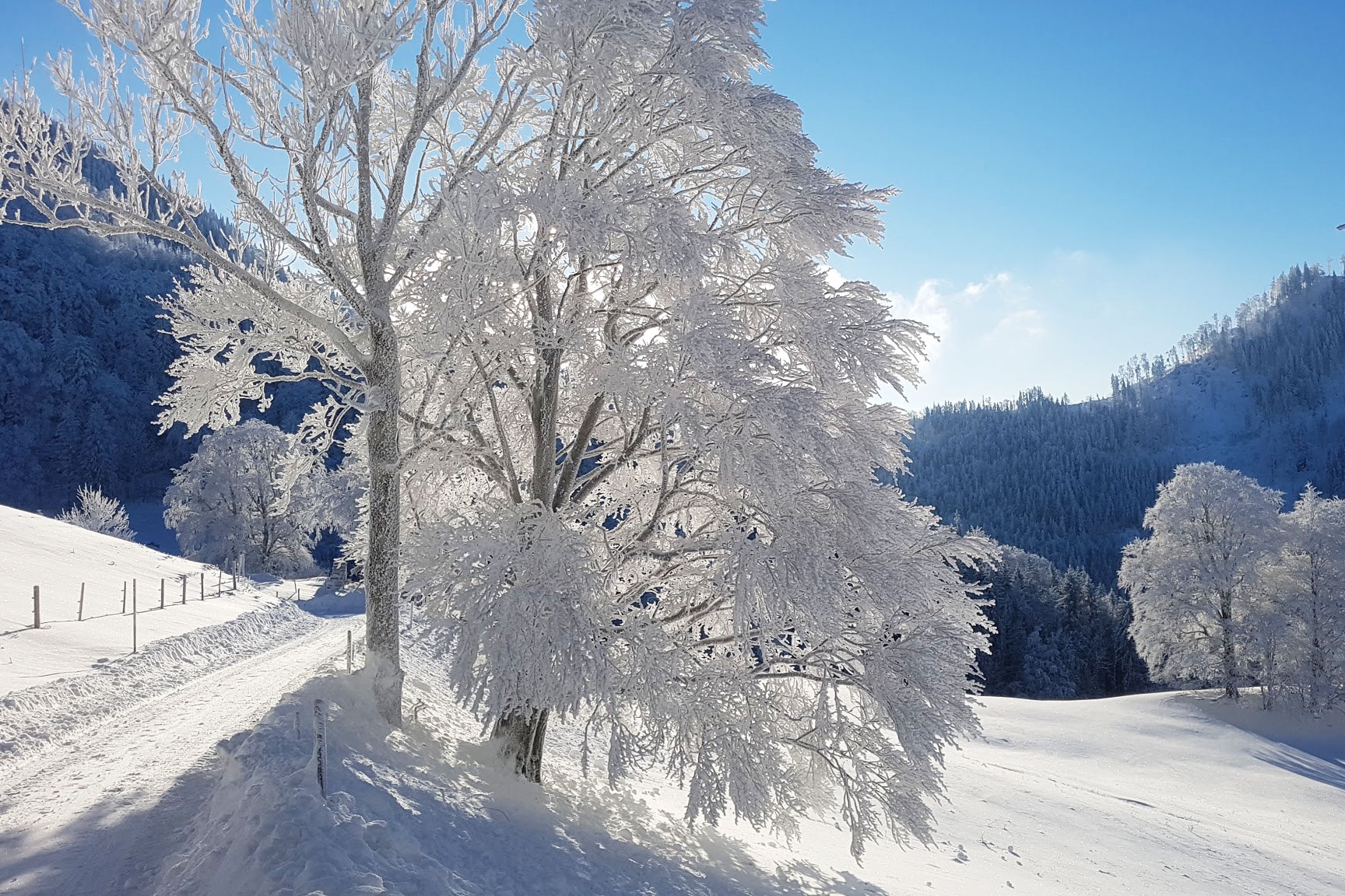 Winterwandern: Oberösterreichische Voralpen