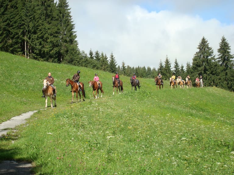 Eine Gruppe von Personen reitet auf Pferden über eine Wiese, Wald im Hintergrund.
