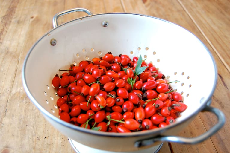 Selbstgemacht: Hagebutten-Ketchup