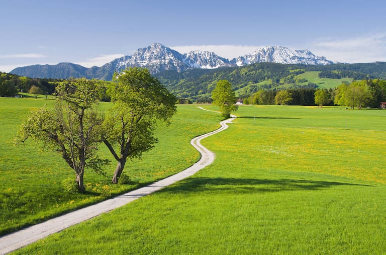 Frühlingshafter Blick von Steinhögl in der Gemeinde Anger zum Hochstaufen, Berchtesgadener Land, Bayern