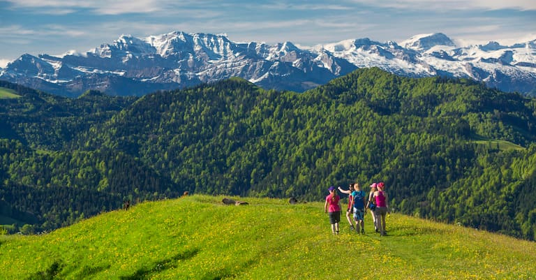 Aussichtsreiches Wandern auf dem Hörnli (1.133 m) vor dem Panorama der Appenzeller Alpen