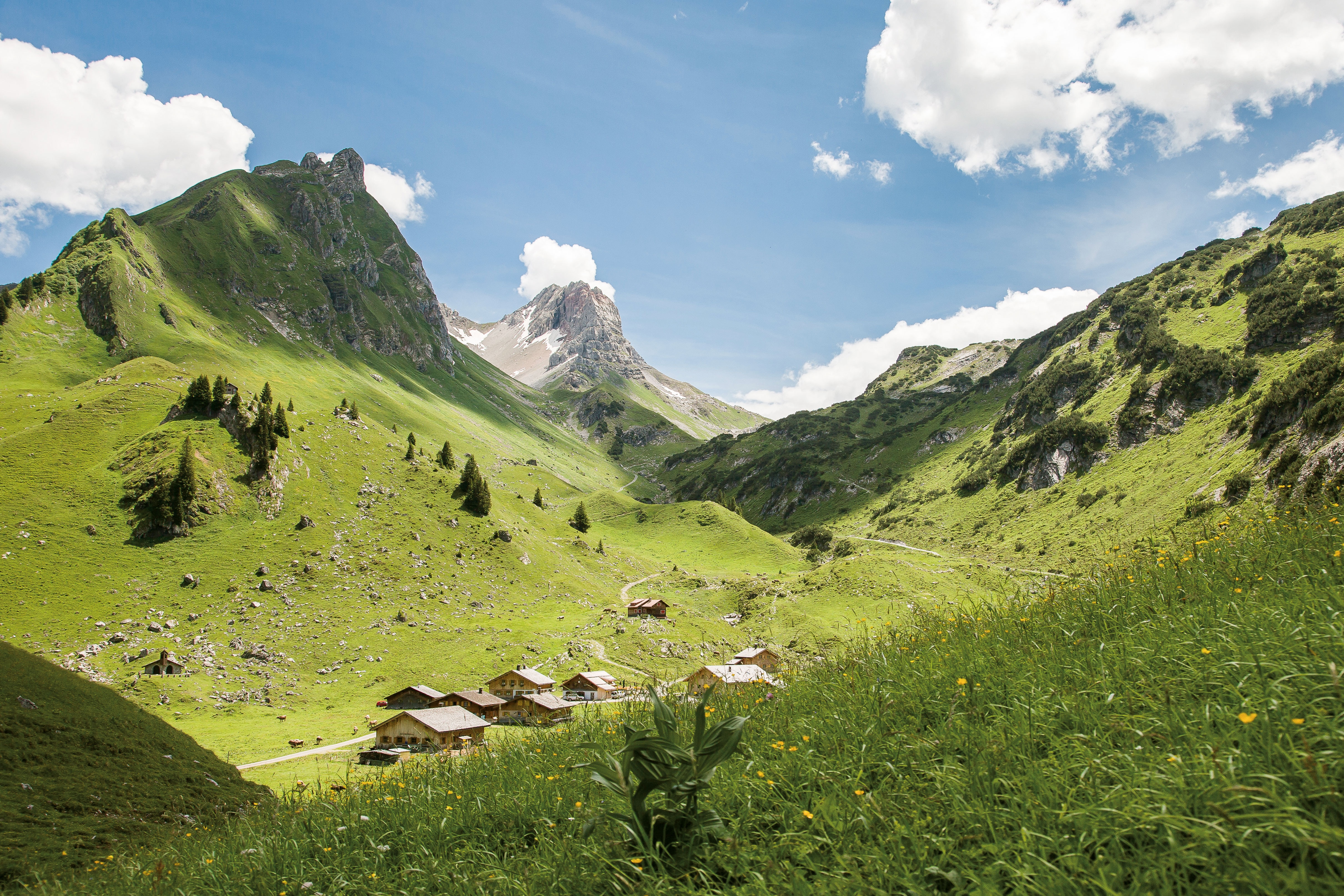 Alpe Laguz im Großen Walsertal
