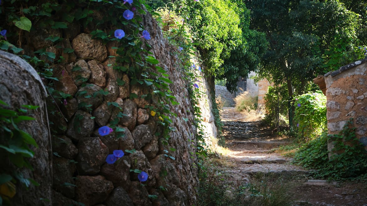 Auf der „Route der Trockensteinmauern“ auf Mallorca.