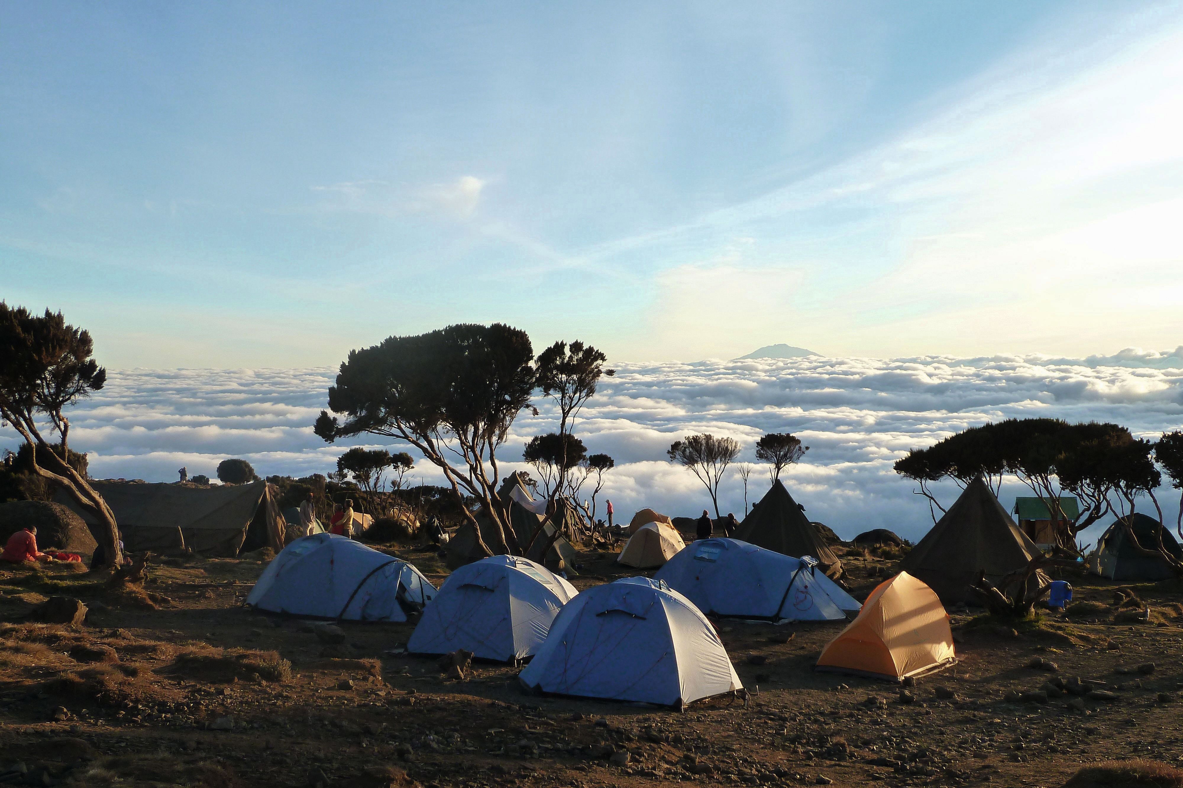Kilimandscharo: Welche Route wählen? | Bergwelten
