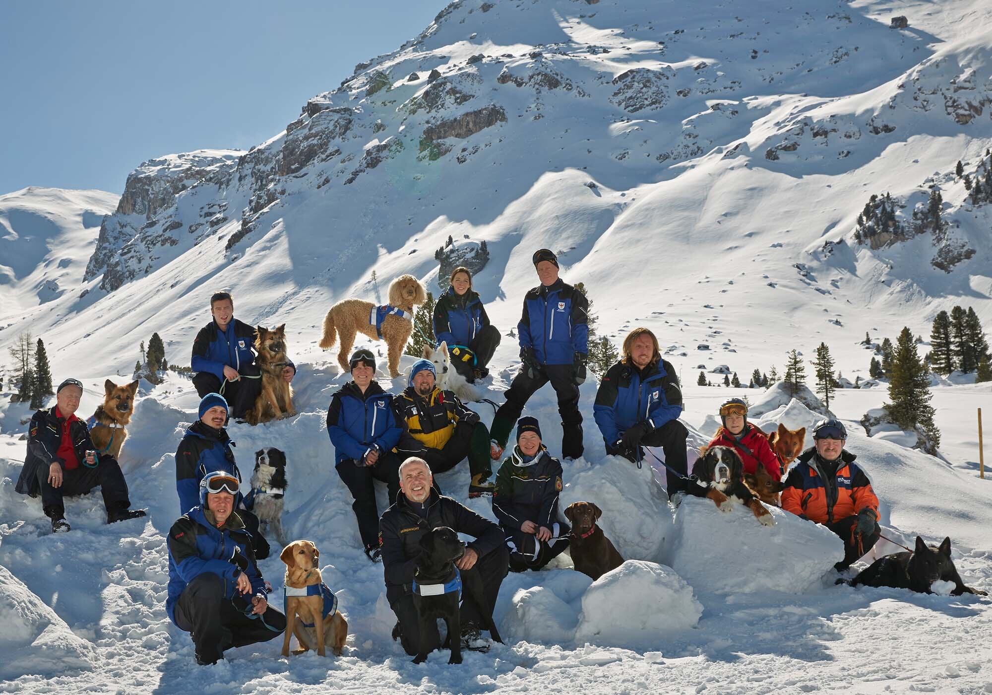Ein Gruppenfoto mit allen Teilnehmern und Hunden