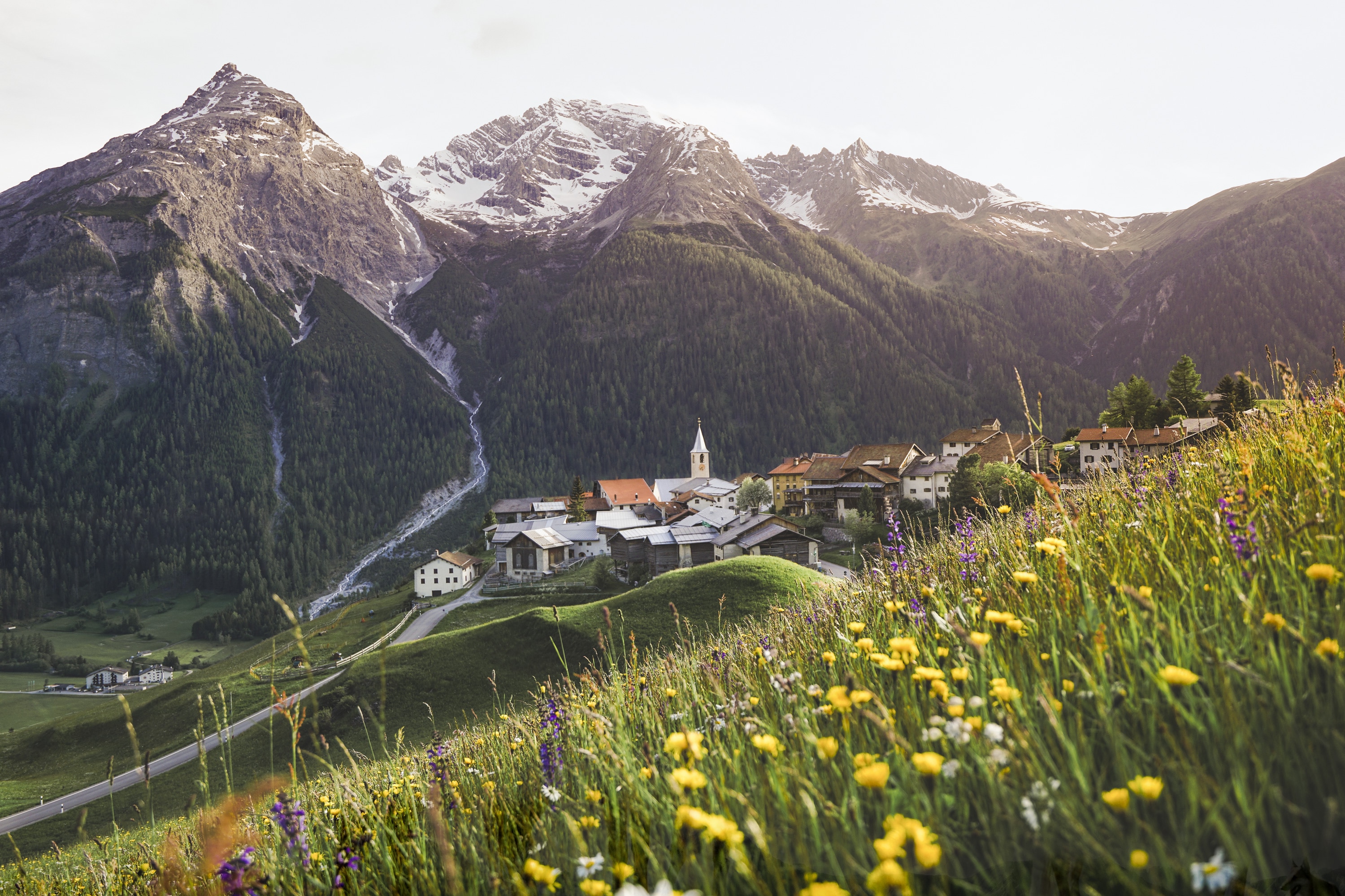 Blumige Ansicht von Latsch, Graubünden