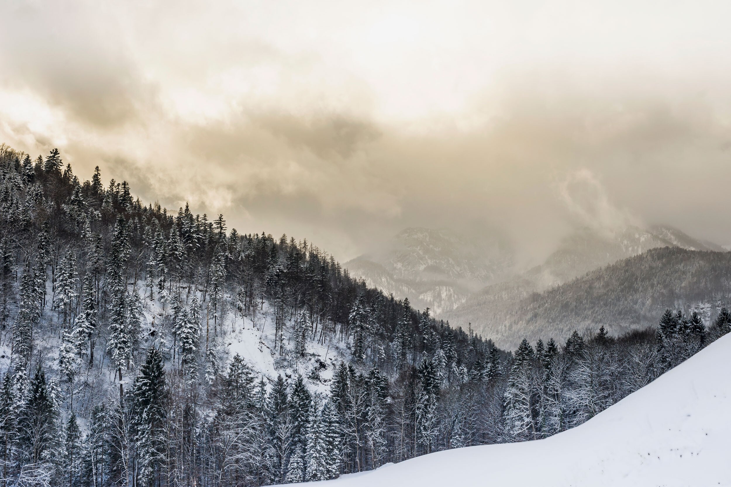 Berchtesgadener Land Winter