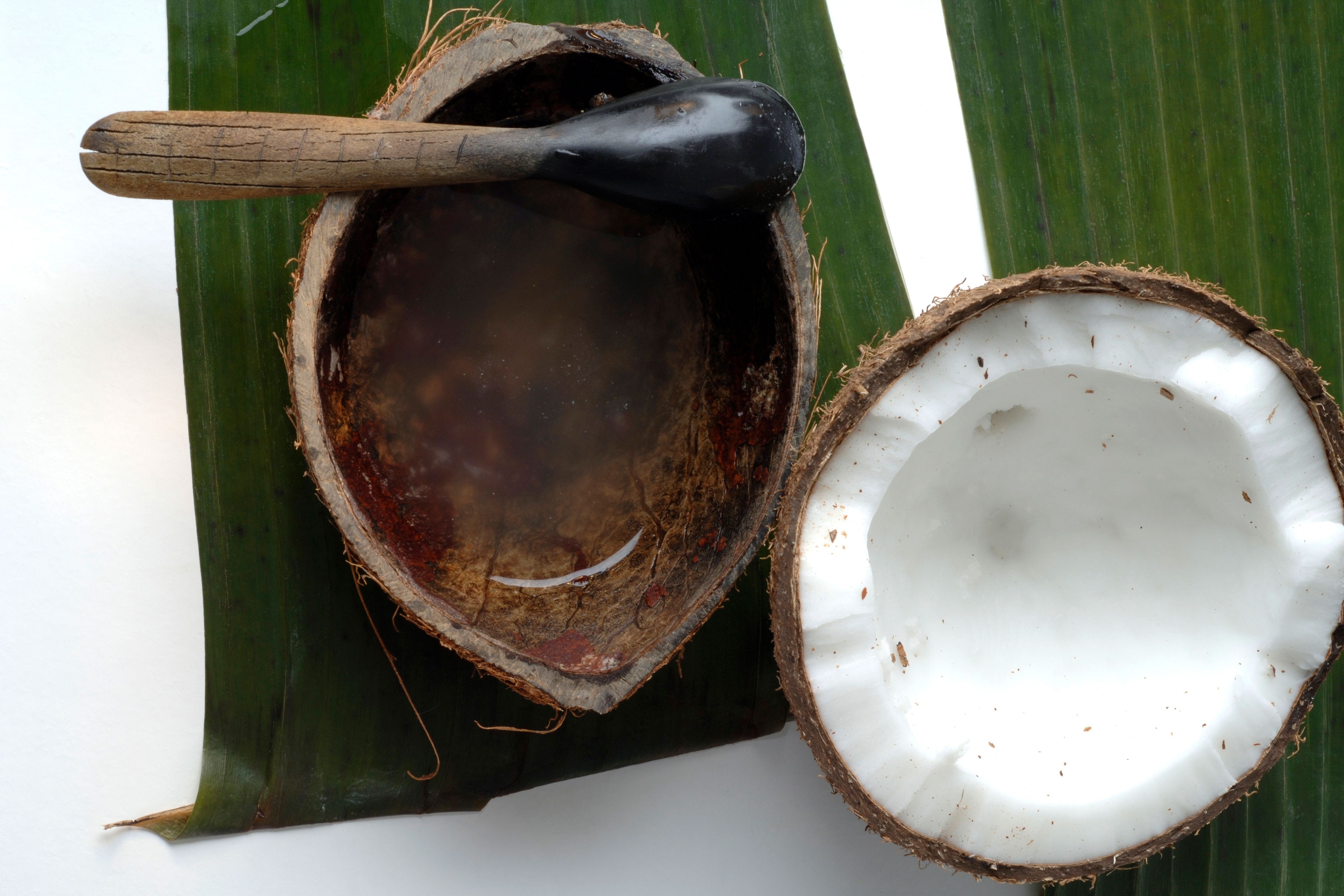 Kokosöl ist ein natürliches Zeckenschutzmittel