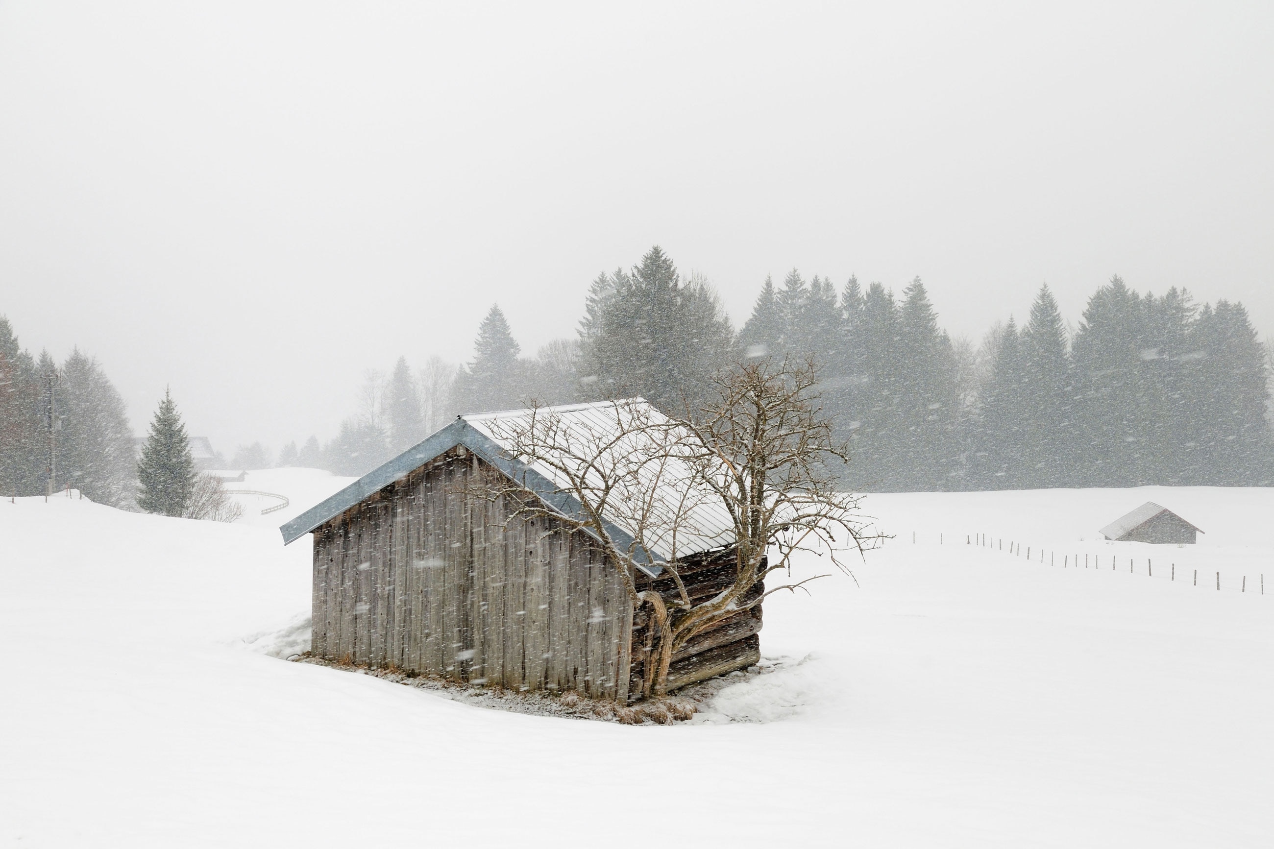 Feucht, kalt und windig wird das Wochenendwetter - entlang der Alpennordseite schneit es immer wieder