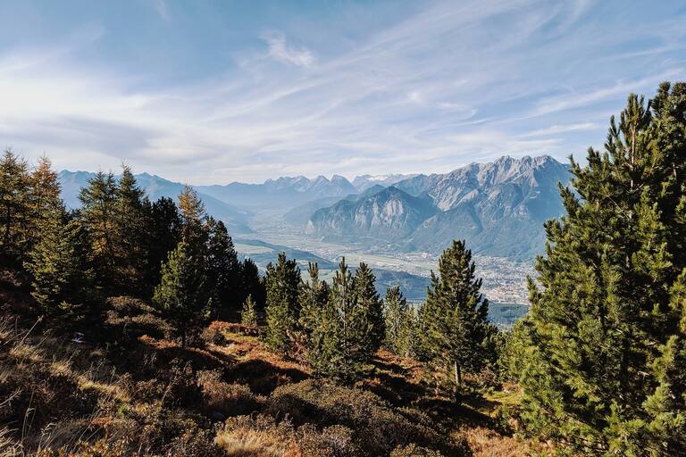 Tiroler Zirbenweg mit Blick auf das Karwendelmassiv