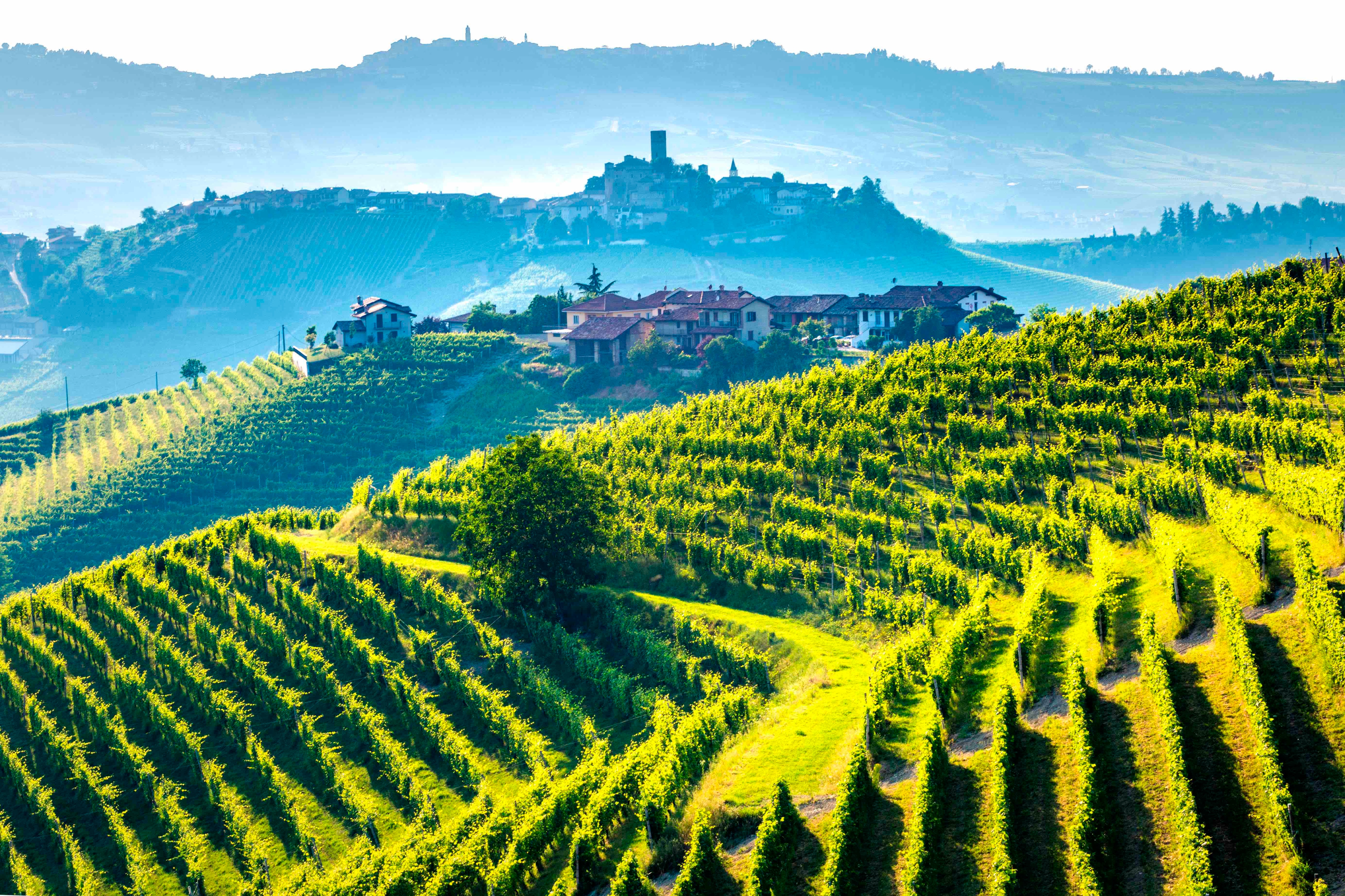 Piemont, Barolo Wein Region