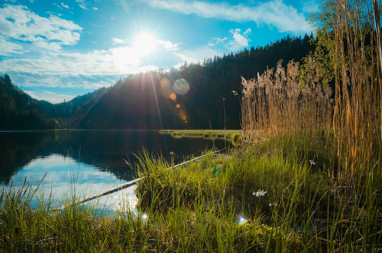 Der Spechtensee bei Wörschachwald im Ennstal, Steiermark