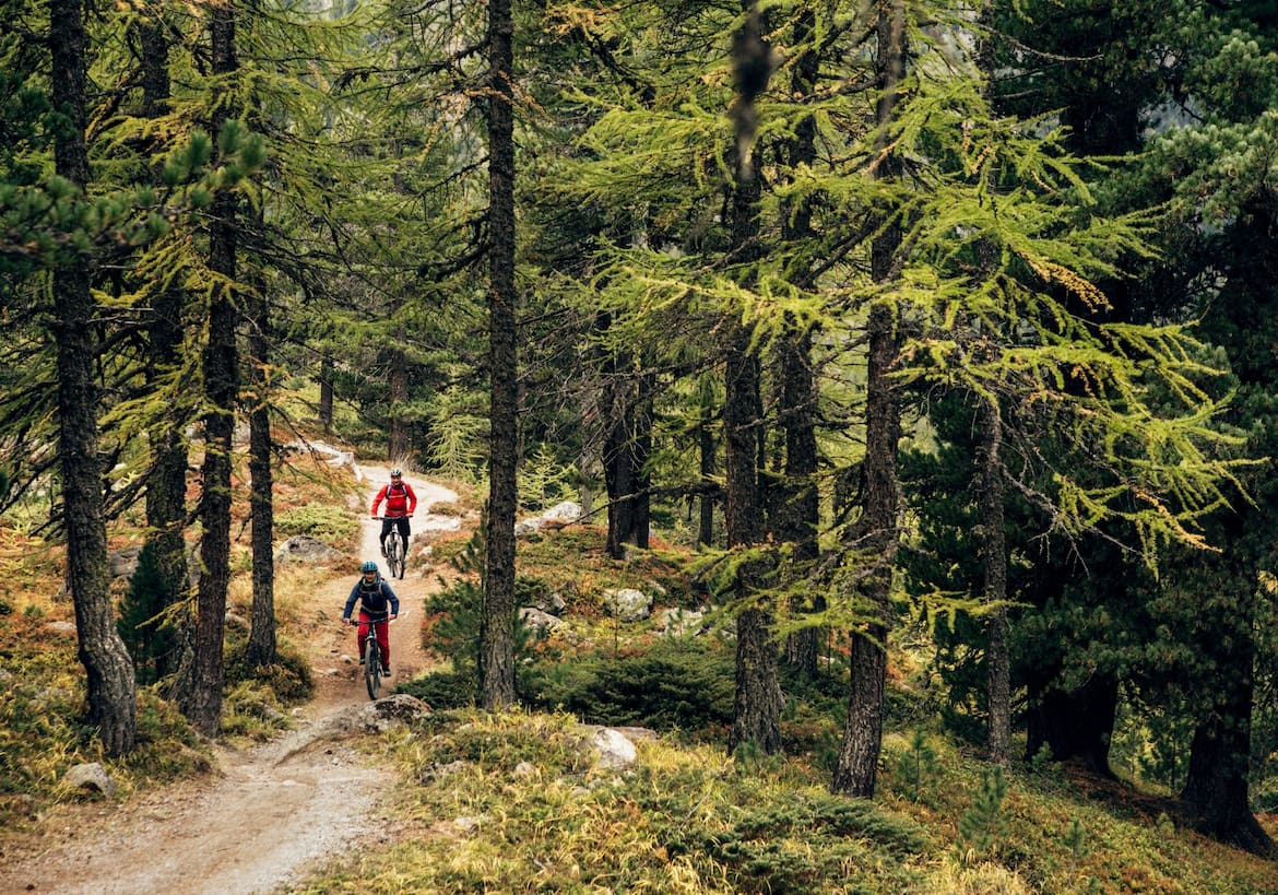 Mountainbiker fahren durch den Wald.