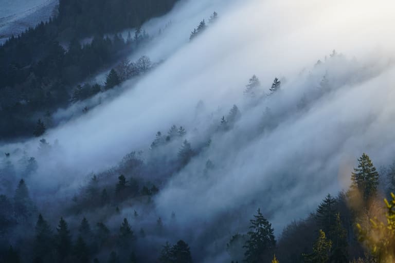 Nebelwolken schieben sich den Berg hinauf