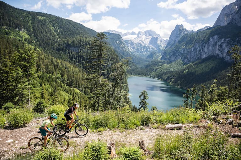 Ob für steile Trails oder gemütliche Touren: Für jede Situation gibt es das passende Mountainbike