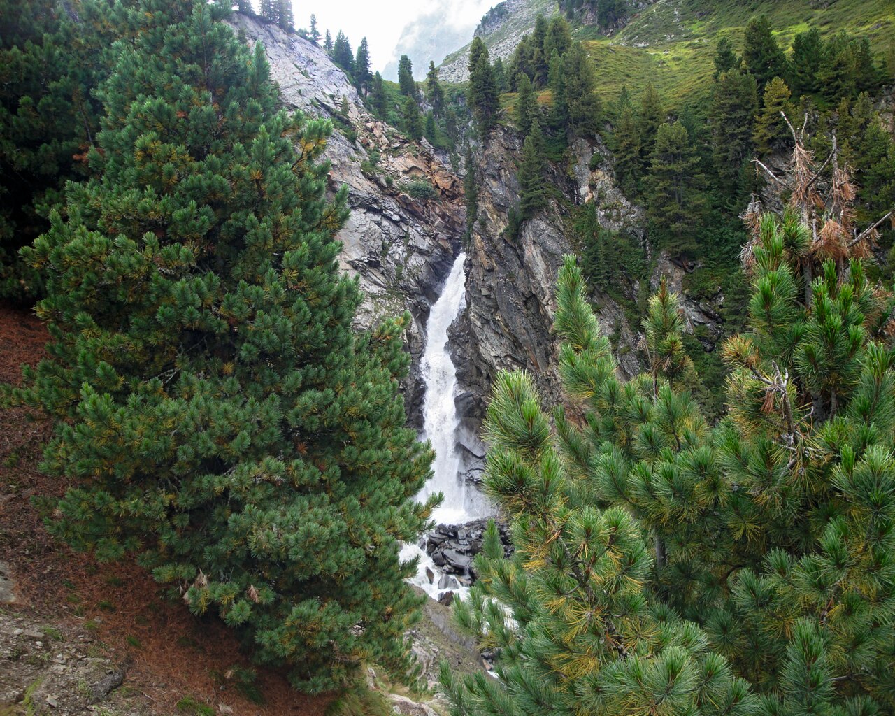 Rotmooswasserfall im Obergurgler Zirbenwald