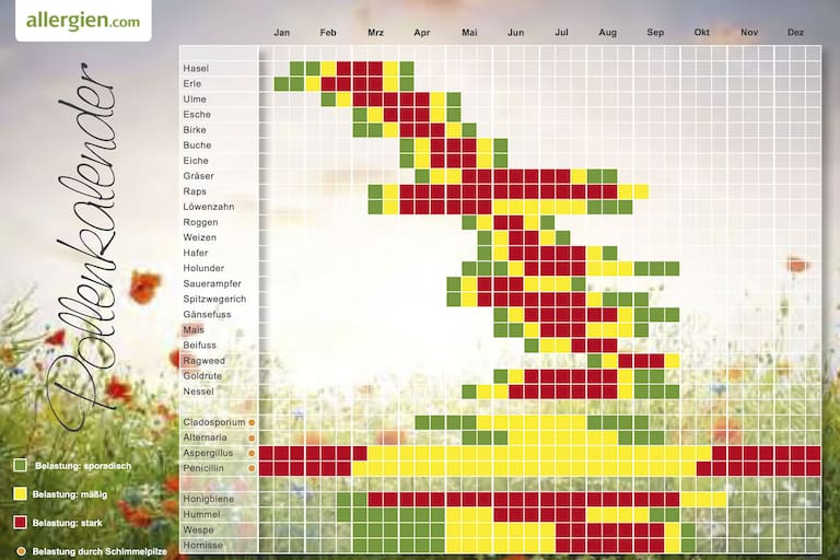 Pollenkalender: Blühzeit allergener Bäume, Gräser und Kräuter