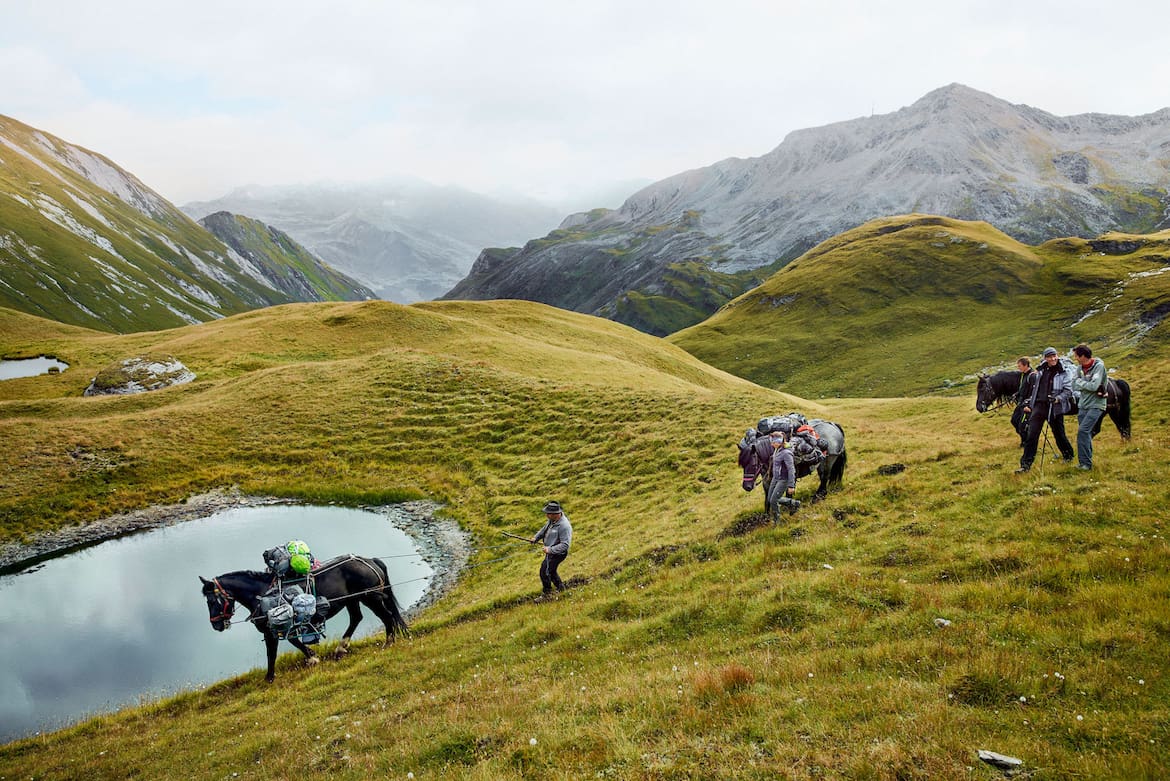 Bergsteigen wie damals: Mit Packpferden geht es über die Glatzböden von der Glorer Hütte in Richtung Salmhütte.