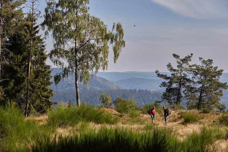 Deutscher Wandertag: Am Rennsteig im Thüringer Wald