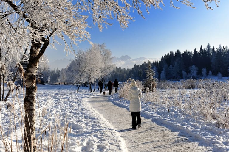 Rund um den Wildsee