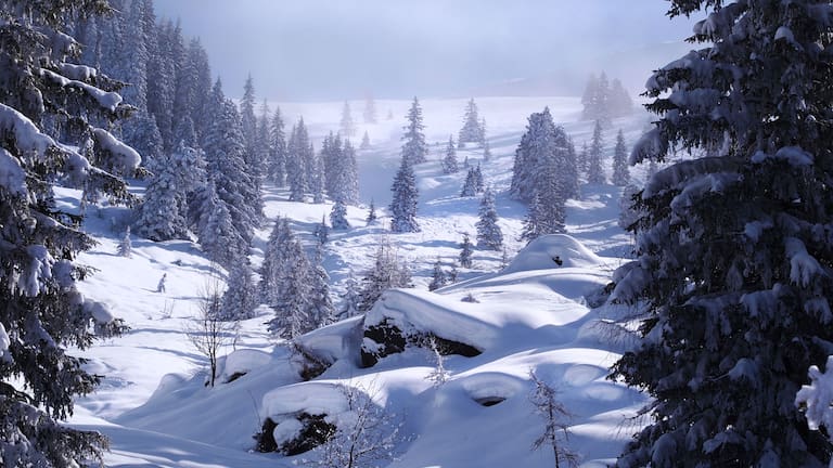 Kitzbüheler Alpen: Schneegrubenspitze in der Kelchsau
