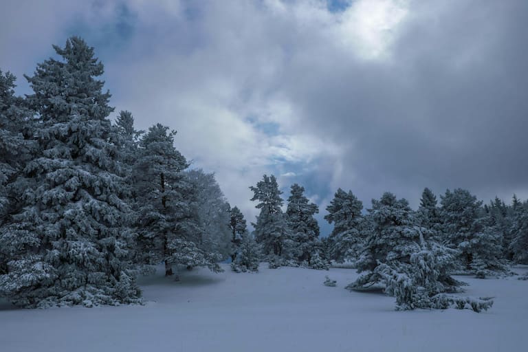 Winterwandern auf der Schwäbischen Alb