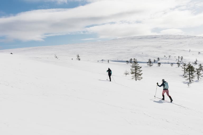 Langlaufen Lappland
