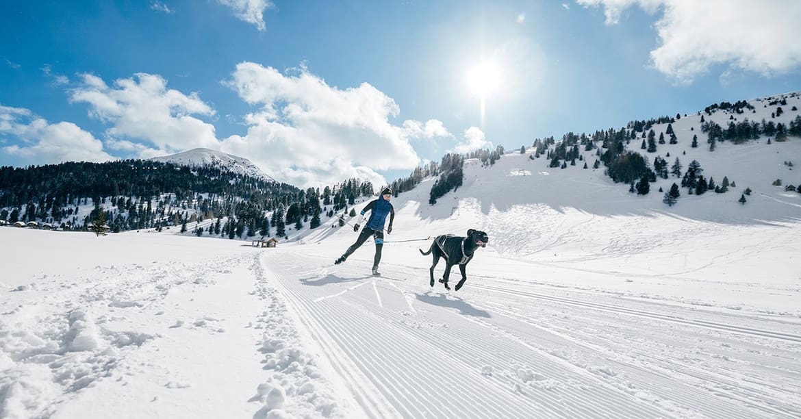 Anna Milazzi und ihr Hund Finn beim Skijöring