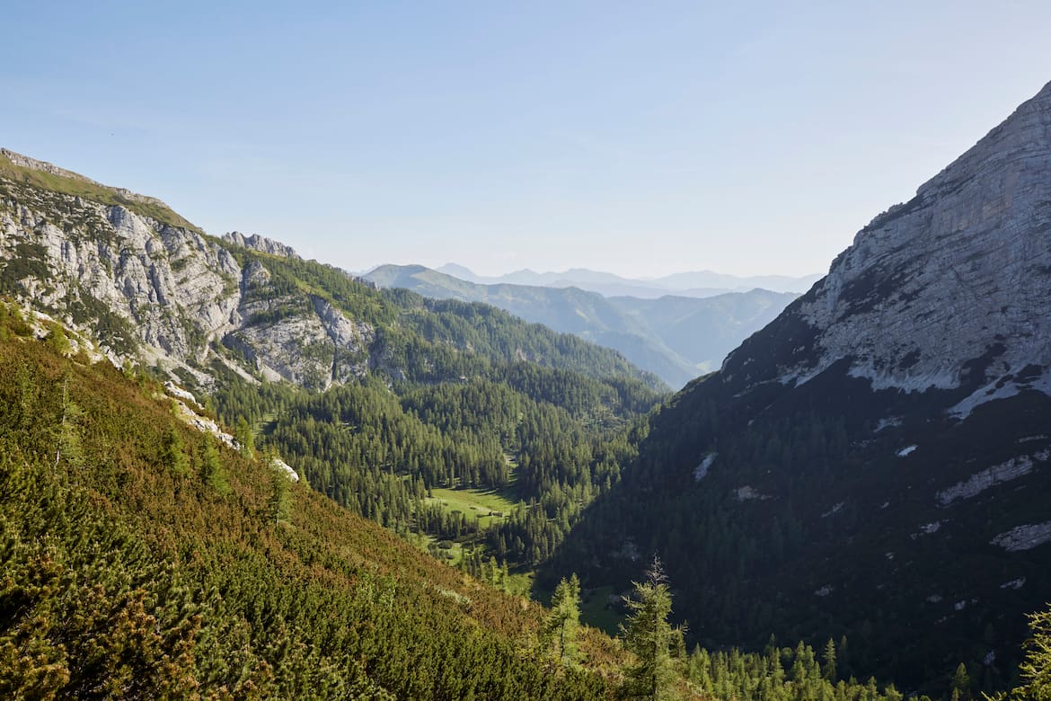 Nationalpark Gesäuse