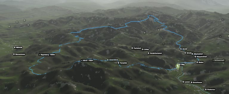 3D-Kartenausschnitt der Wanderung Schnebelhorn und Hörnli