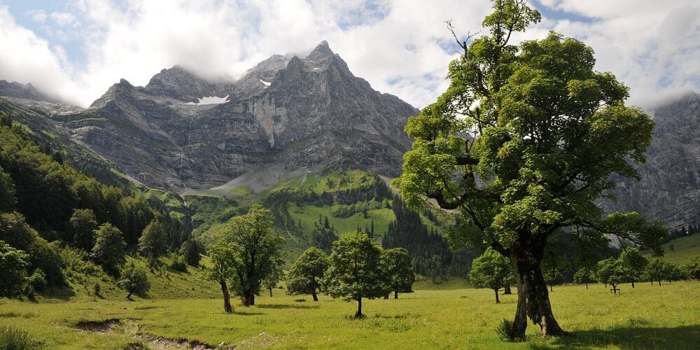 Großer Ahornboden im Naturpark Karwendel