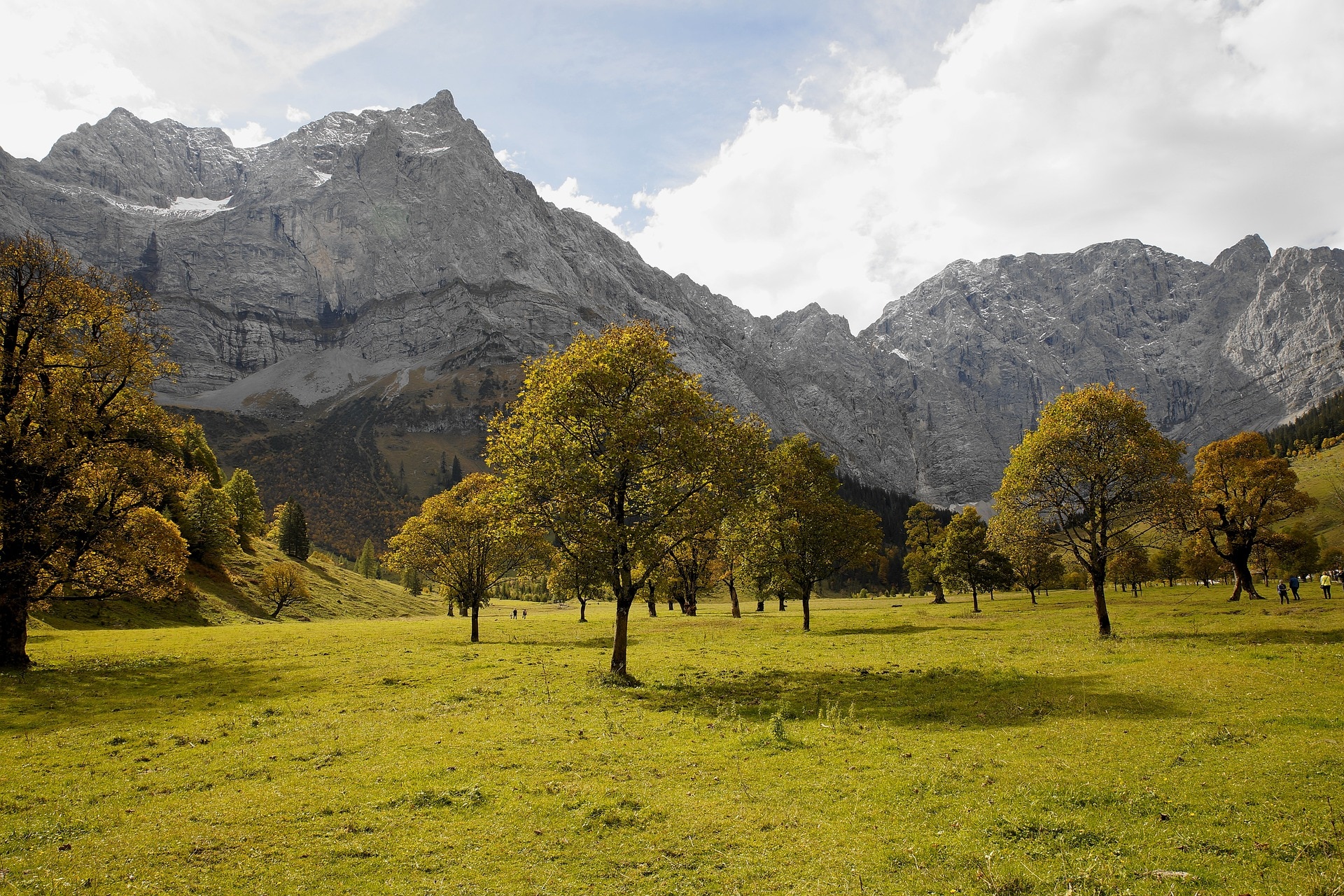 Die bekannten Ahornböden im Karwendel