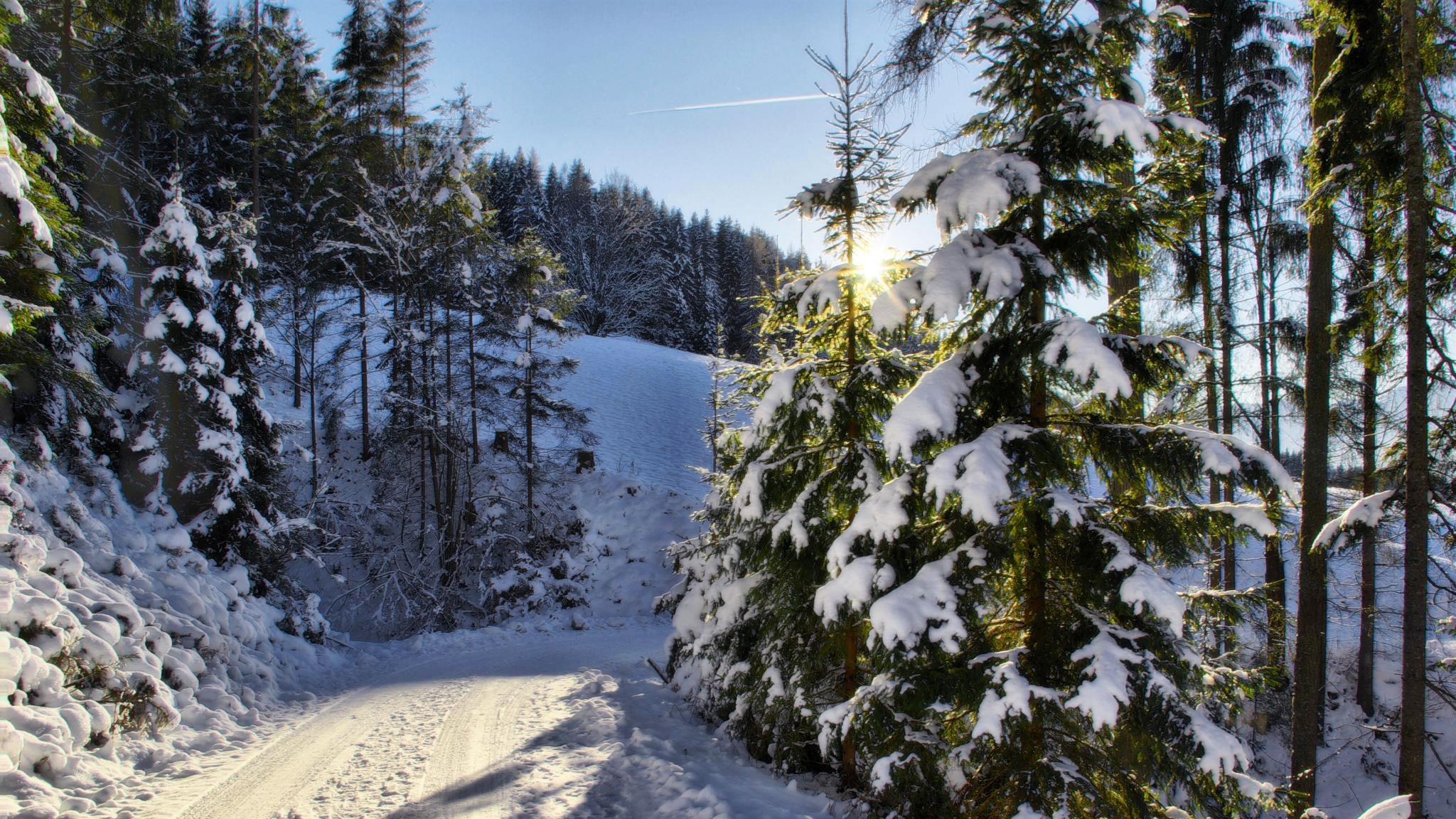 Winterwanderweg Vierawasch: Wandern bei Mühlbach am Hochkönig in Salzburg