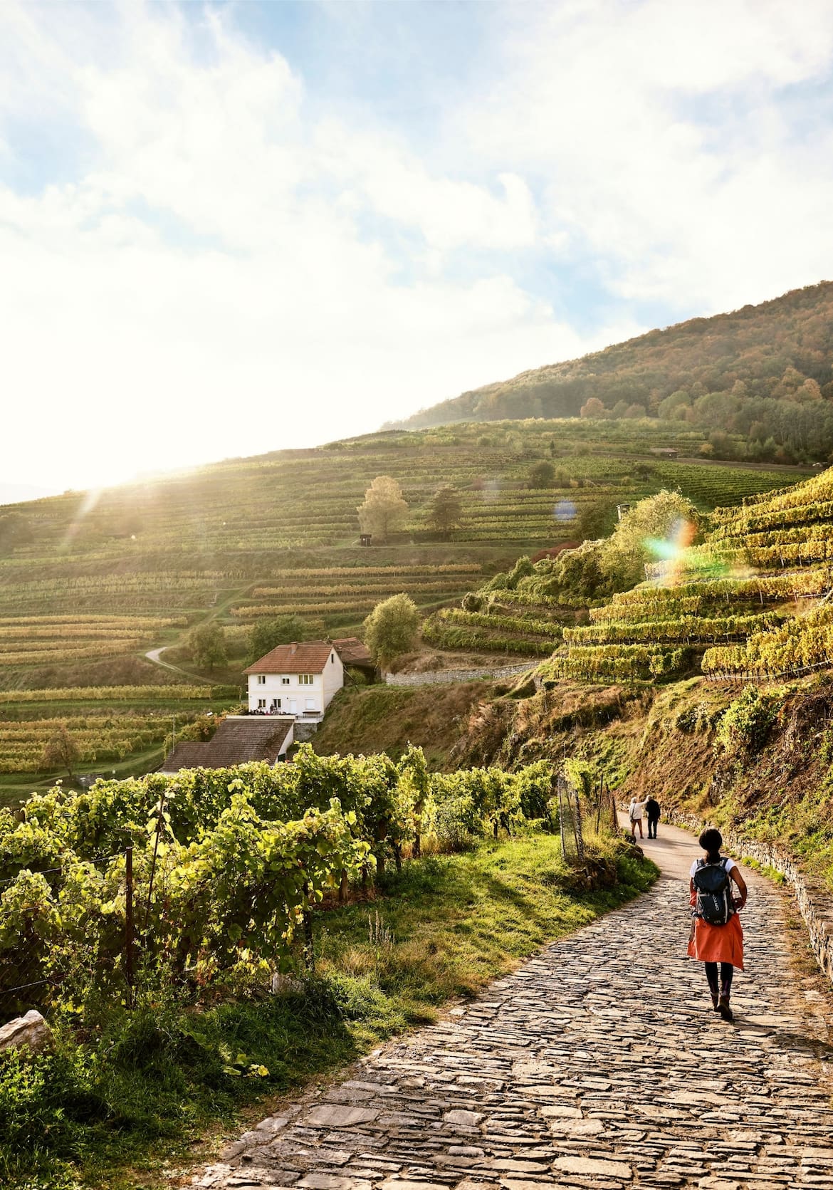 Wanderer am Weg durch die Weinfelder.
