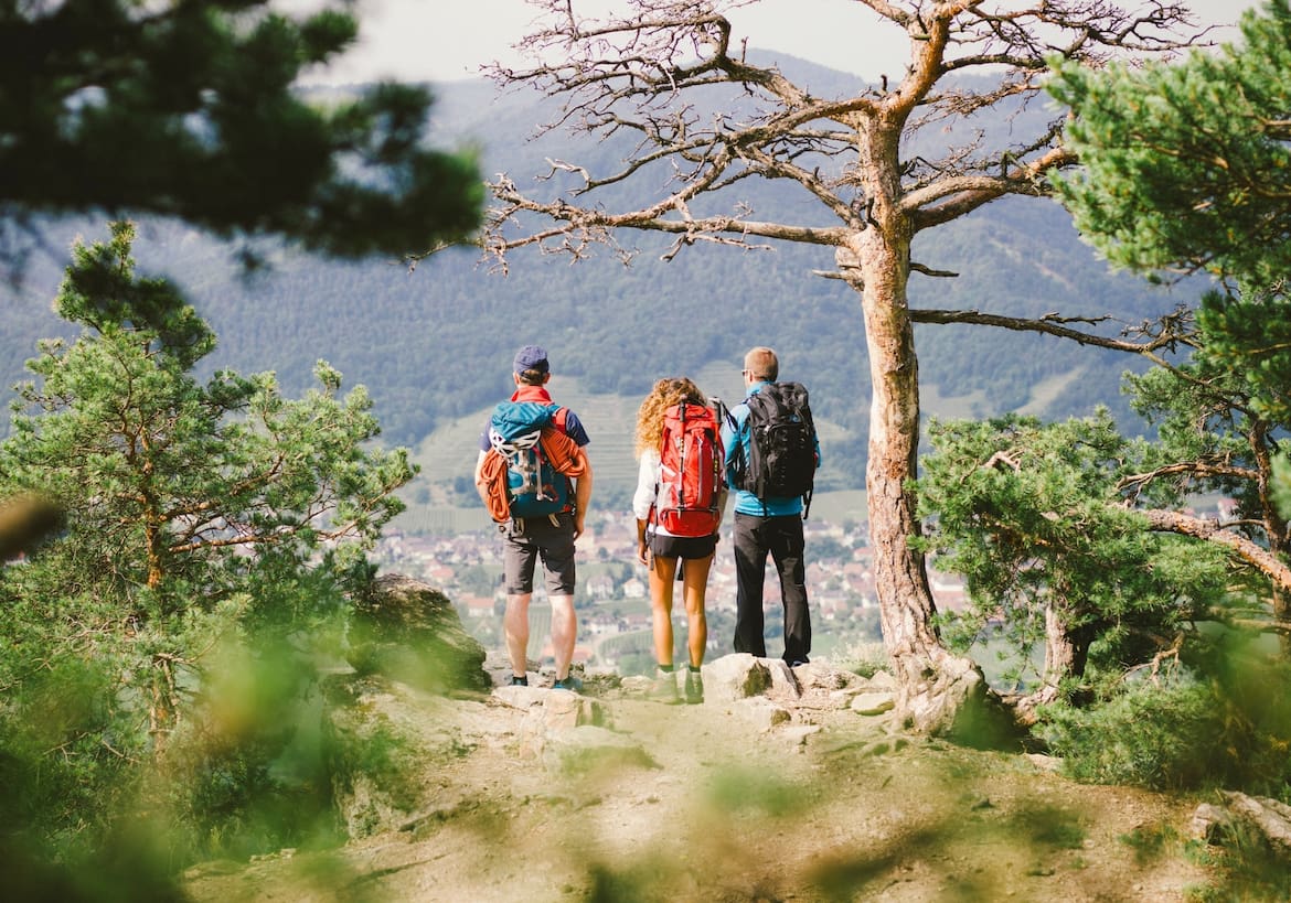 Drei Wanderer stehen auf einer Anhöhe und sehen ins Tal