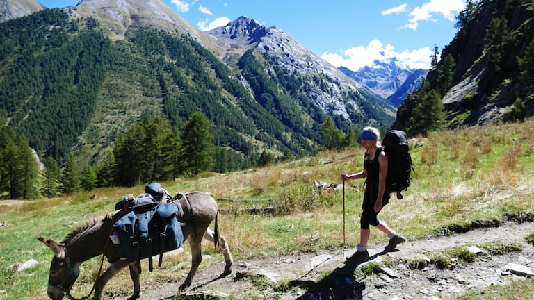 Esel-Trekking Provence