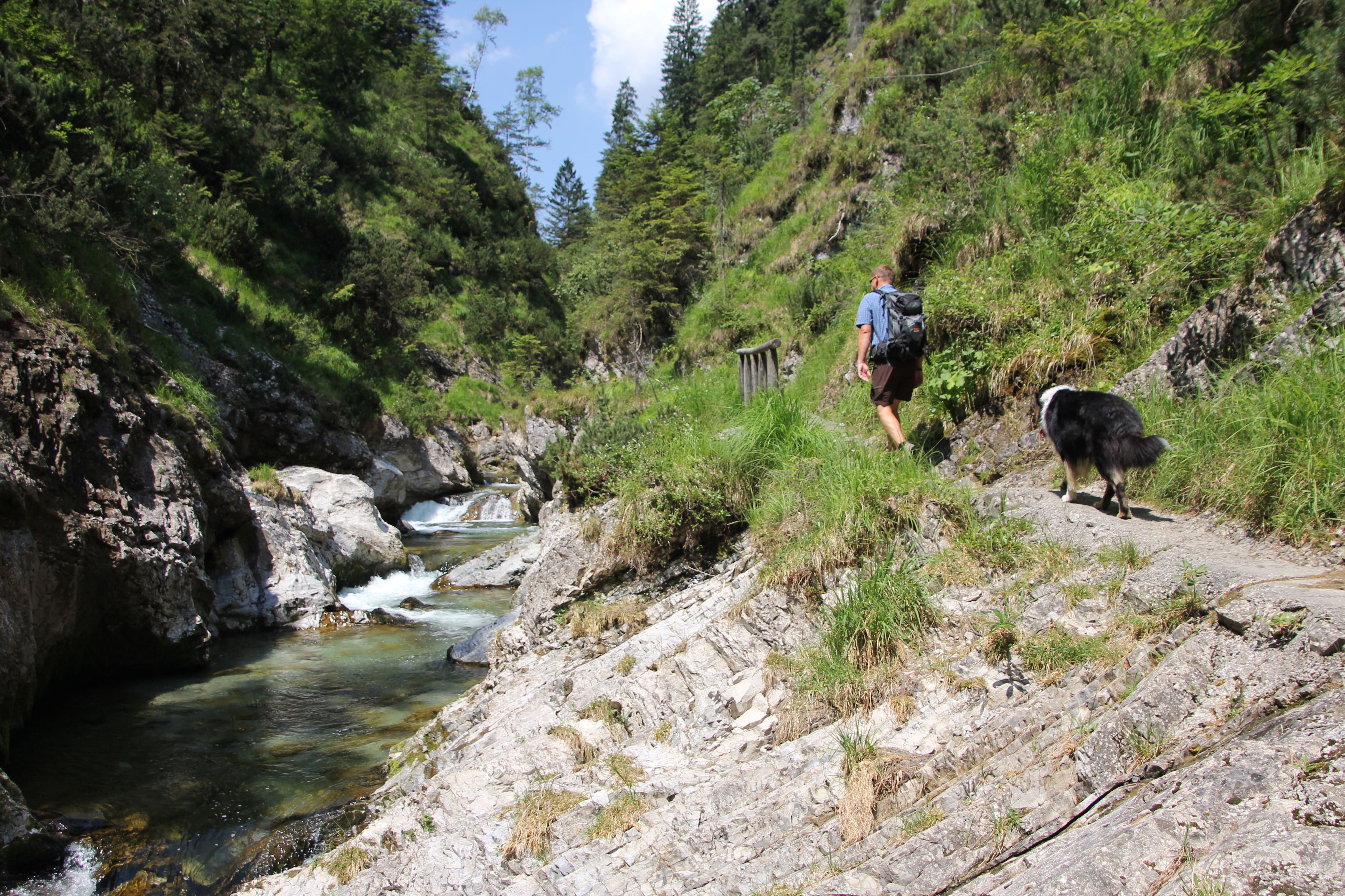 Wandern mit Hund: Weißbachschlucht