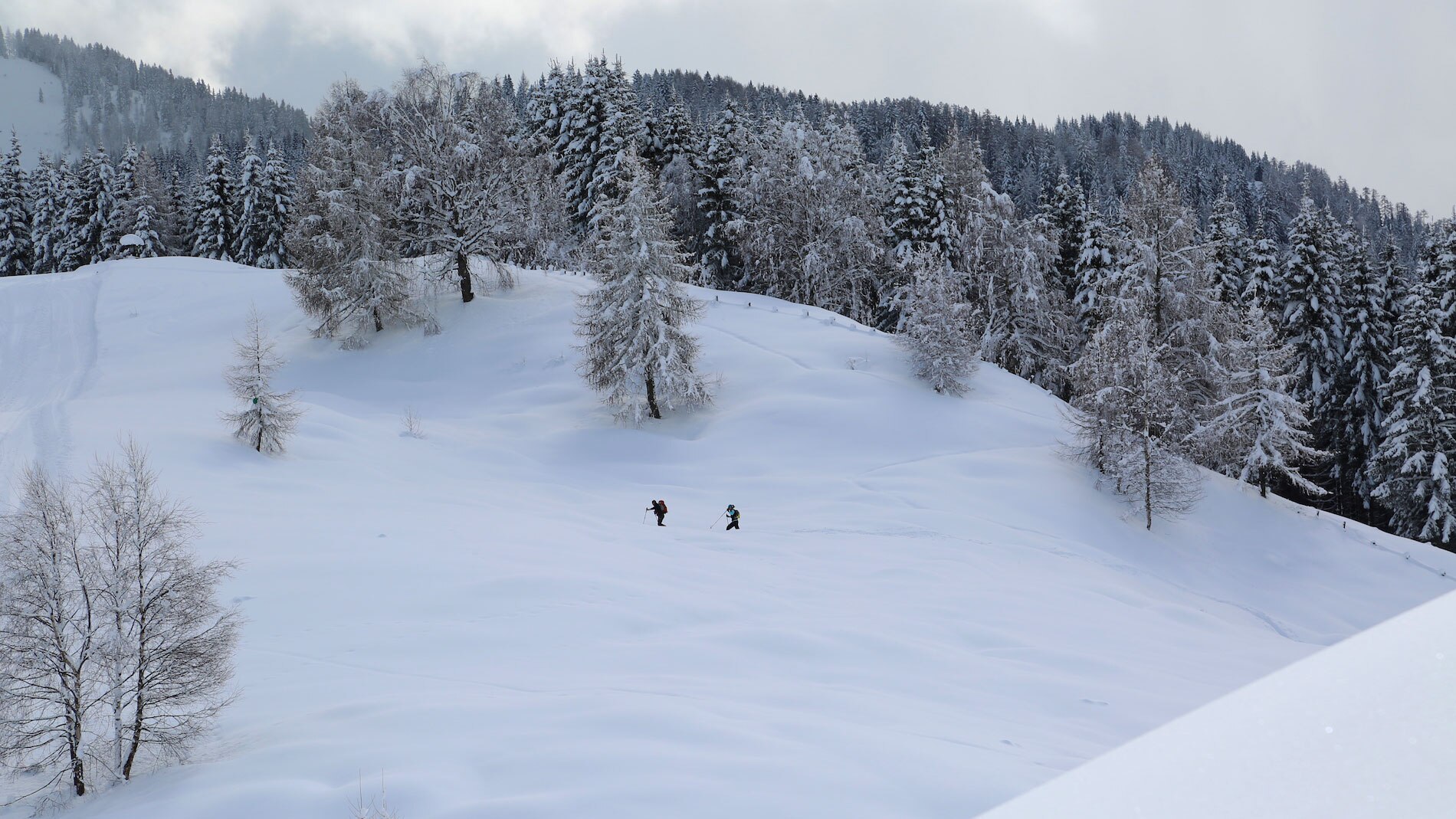Winterwandern in Kärnten: Zur Kohlröslhütte am Weissensee