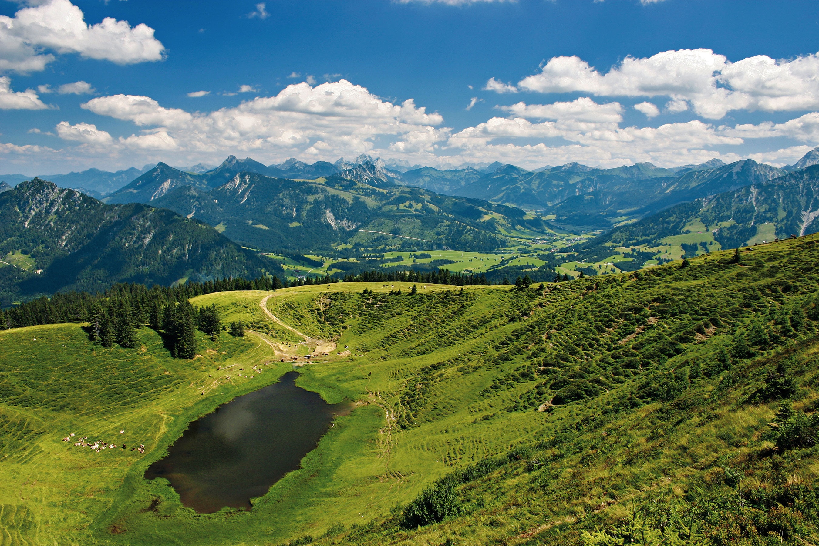 Wandern aufs Wertacher Hörnle in den Allgäuer Alpen: Hörnlesee