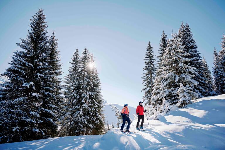 Mit Skiern durch den winterlichen Wald.
