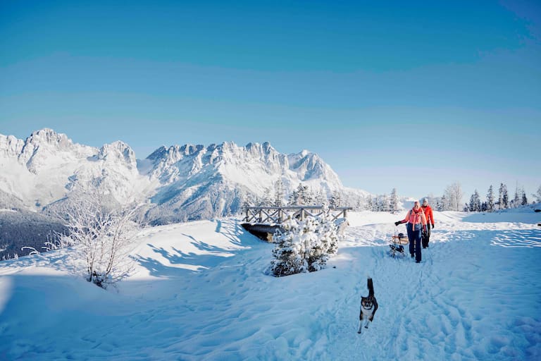 Mit Hund und Rodel durch die Winterlandschaft am Wilden Kaiser
