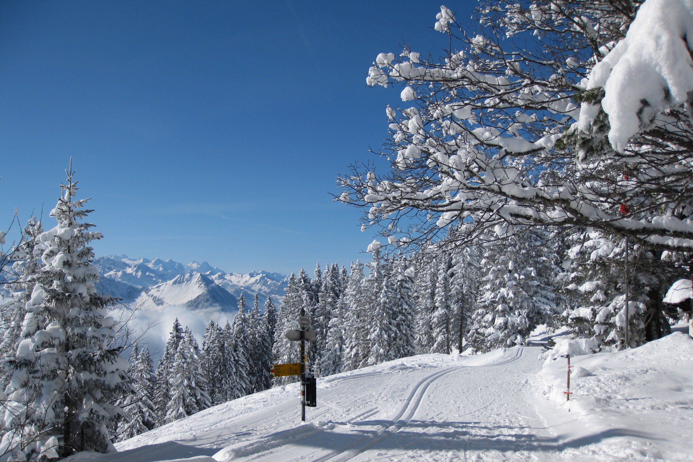 Panoramaweg in der Zentralschweiz